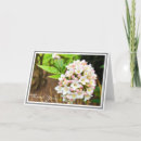 Search for budding cards Floral