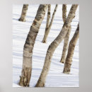 Search for cold temperature posters Tree