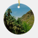 Search for palm springs christmas tree decorations Desert