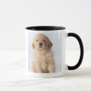 Search for golden retriever puppy mugs Sitting