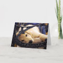 Search for golden puppy cards Nature
