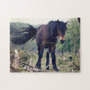 Search for wild horse puzzles Animal