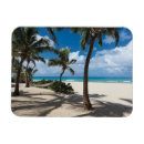Search for hammock magnets Sand
