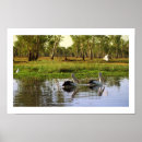 Search for australian landscape art Wildlife