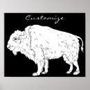Search for white buffalo posters Yellowstone