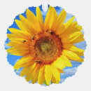 Search for yellowness christmas cards Sunflower