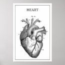 Search for vintage anatomy posters Heart