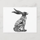 Search for hare postcards Wild