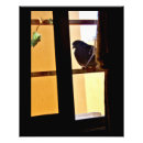 Search for wood pigeon posters Bird