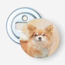 Search for longhair barware Puppy