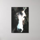 Search for equine on art Farm animals