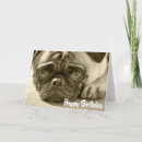 Search for pug birthday cards Puppy