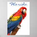 Search for florida posters Bird