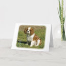 Search for cavalier king charles spaniel cards Pet