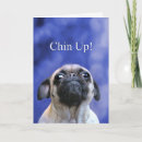 Search for hang in there cards Chin up
