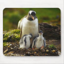 Search for penguin baby electronics White