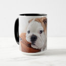 Search for english bulldog mugs Pets
