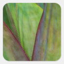 Search for habitat stickers Green