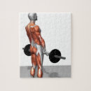 Search for muscles of the body puzzles Weight training