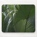 Search for in paradise mousepads Florida