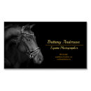 Search for equine photography business cards Horse