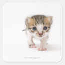 Search for newborn stickers Cute