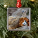Search for cute monkey christmas tree decorations Wildlife