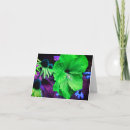 Search for green hibiscus postcards Nature
