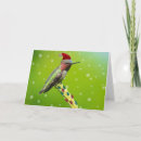 Search for funny bird christmas cards Birding