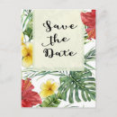 Search for caribbean party invitations Summer