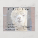 Search for alpaca invitations Cute
