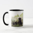 Search for new zealand mugs Black