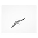 Search for black and white beach posters Calm