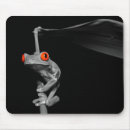 Search for tree frog mousepads Amphibians