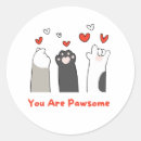 Search for awesome cat stickers Pet