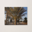 Search for sahara desert puzzles Dune