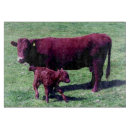 Search for cattle chopping boards Calf