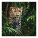 Search for green leopard posters Tropical