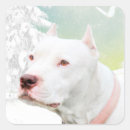 Search for white pitbull stickers Bully