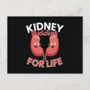 Search for organ donor postcards Kidney