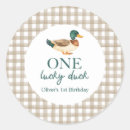 Search for lucky one Gingham