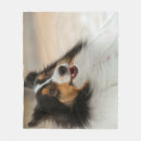 Search for shelties blankets Shelty