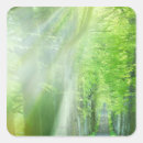 Search for country scene stickers Forest