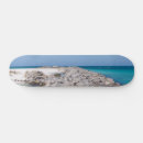 Search for shell comp skateboards Coastal