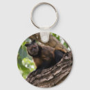 Search for cute animals rounded key rings Primate