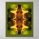 Search for insecte posters For her