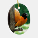 Search for oriole christmas tree decorations Nature