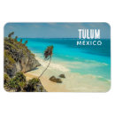 Search for tulum magnets Palm trees
