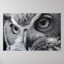 Search for ornithology posters Bird of prey
