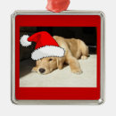 Search for retriever christmas tree decorations Adorable